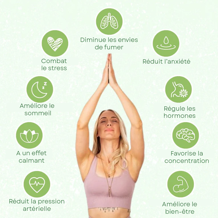 CreoCool - Kit ultime pour arrêter de fumer