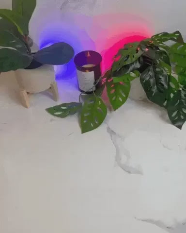 Purificateur d’air anti-fumée